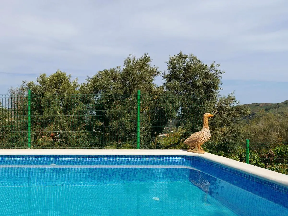 Apartment Live Finca El Gamonal Bajo Con Piscina Y Jardin En La Naturaleza Santa Brigida