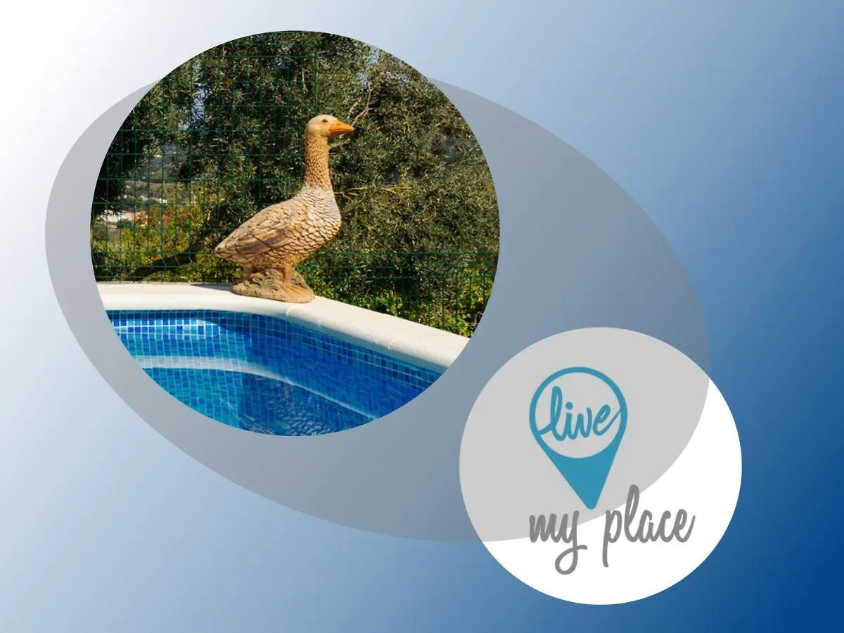 Live Finca El Gamonal Bajo Con Piscina Y Jardin En La Naturaleza Santa Brigida  Apartment Santa Brigida (Gran Canaria)